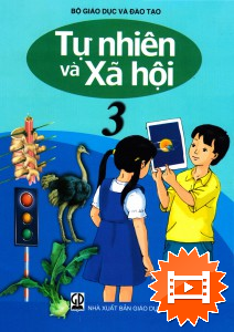 Bài: Ôn tập chủ đề thực vật và động vật